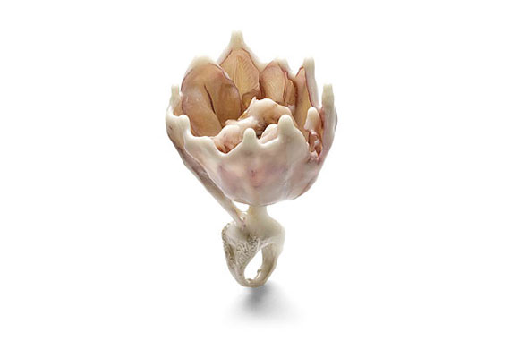 Rare and creative rings 26 Rare and creative rings