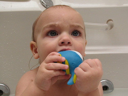 Nom nom bath toy