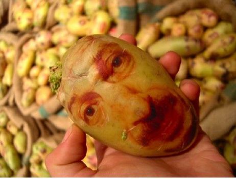 6 Amazing Potato Art