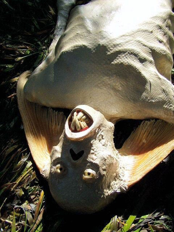 belive or not1 Believe or not, the choice is yours Photoshop power