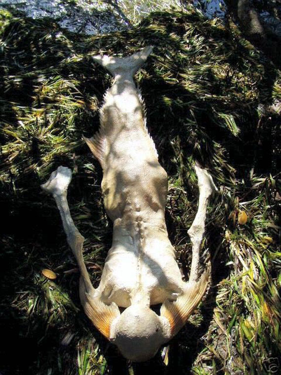 belive or not3 Believe or not, the choice is yours Photoshop power