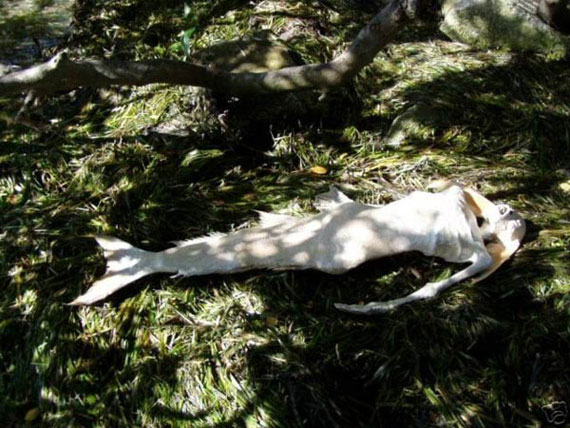 belive or not4 Believe or not, the choice is yours Photoshop power