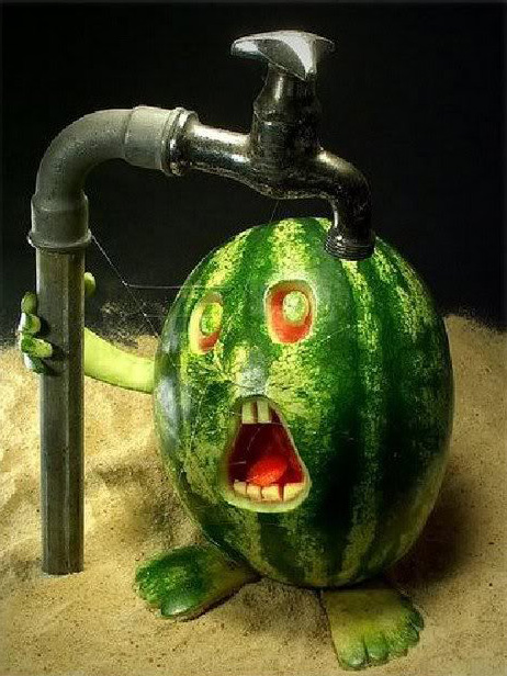 1 Cool Watermelon Art