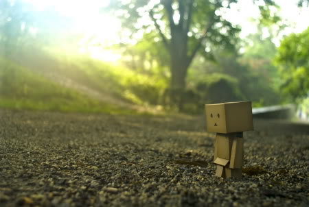 4 Do Not Leave Your Robot Alone