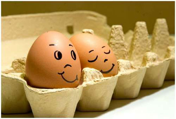 17 Funny eggs