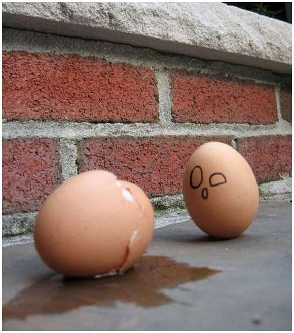 9 Funny eggs