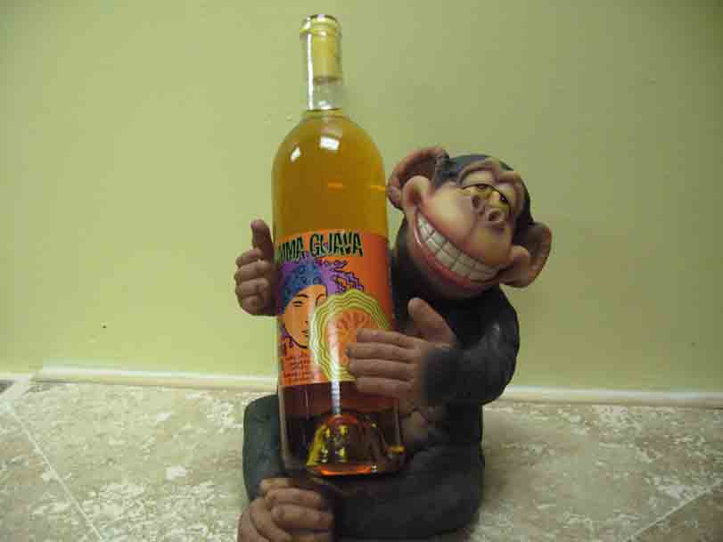 6 Funny Wine Bottle Holders