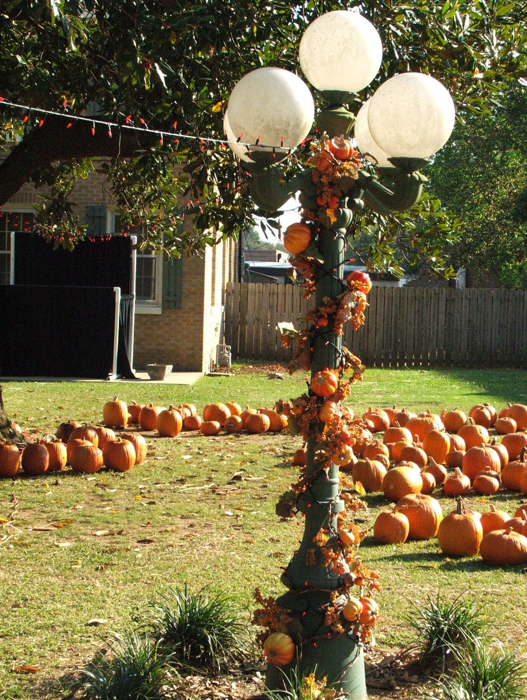 results pumpkin carving mania 10 Results of Pumpkin Carving Mania