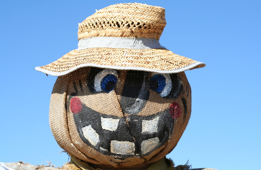 results pumpkin carving mania 14 Results of Pumpkin Carving Mania