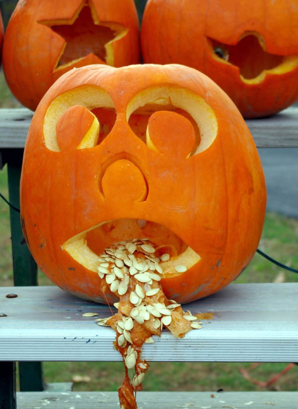 results pumpkin carving mania 2 Results of Pumpkin Carving Mania