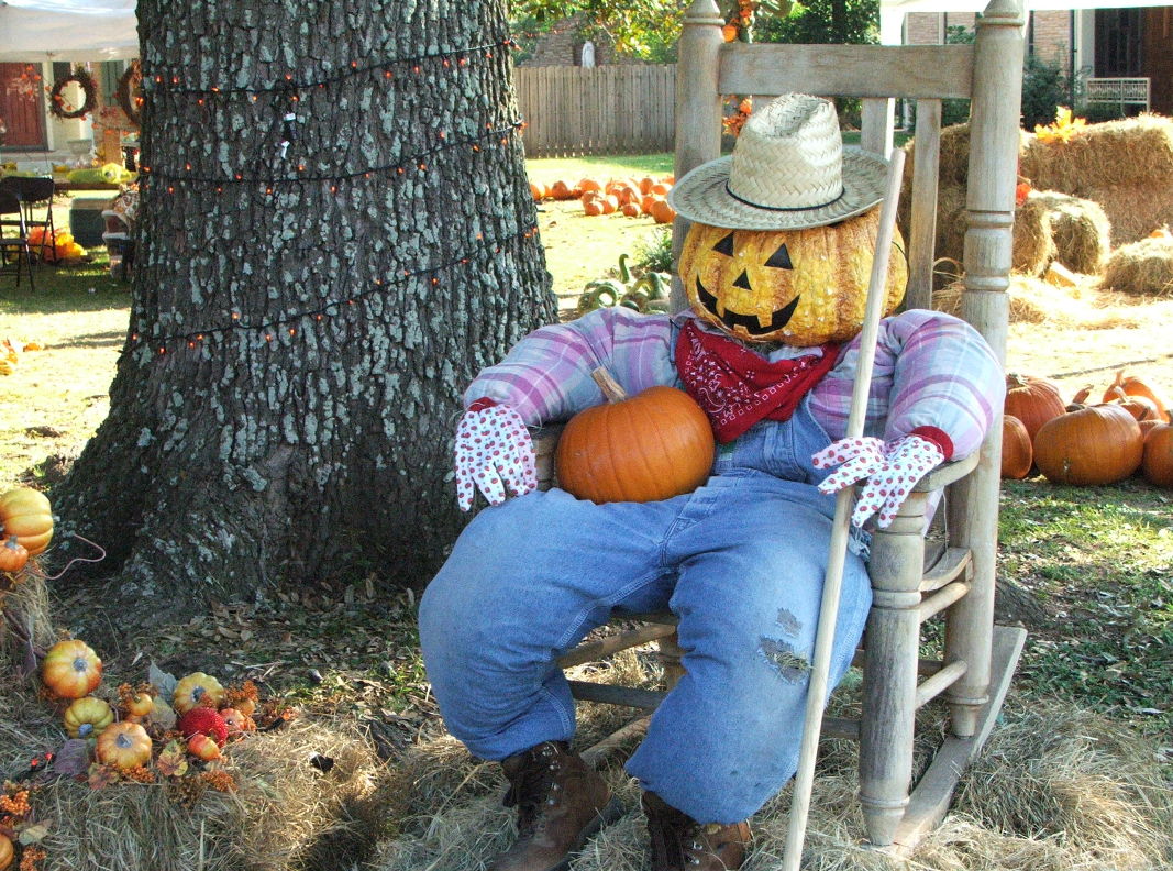results pumpkin carving mania 5 Results of Pumpkin Carving Mania