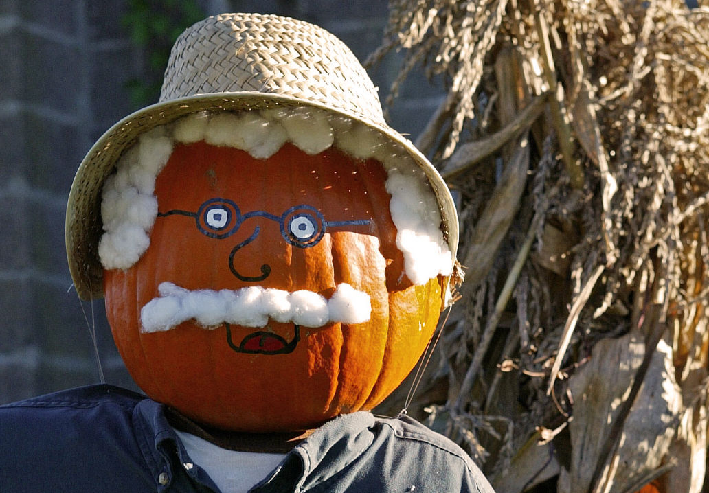 results pumpkin carving mania 6 Results of Pumpkin Carving Mania