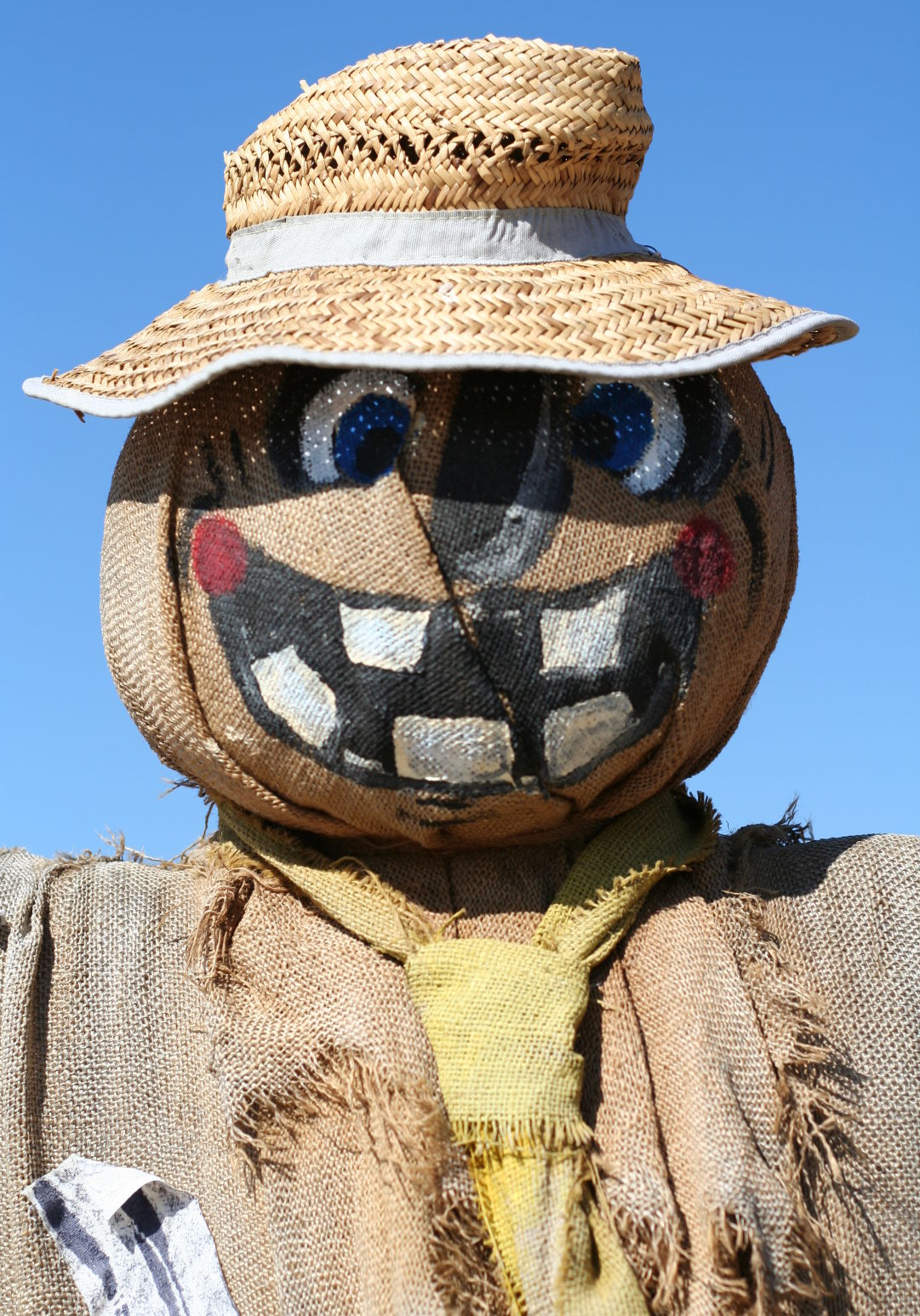 results pumpkin carving mania 9 Results of Pumpkin Carving Mania