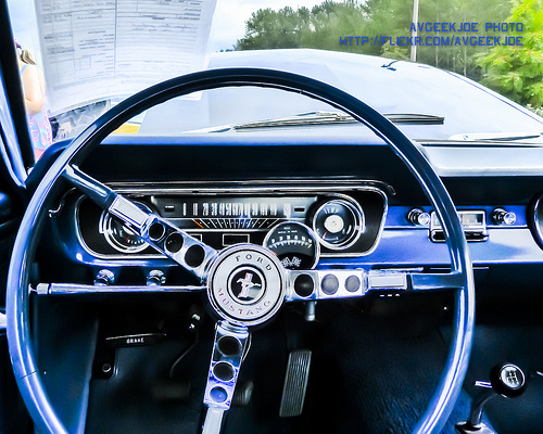 help there are bugs car Help! There Are Bugs In My Car: Tips To Get Rid Of Pests