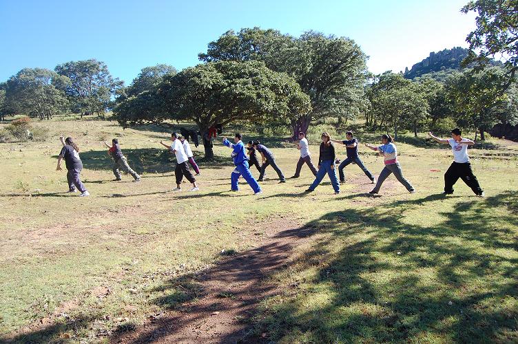 1 Basic Chi Kung Exercises for Health