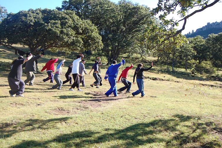 15 Basic Chi Kung Exercises for Health