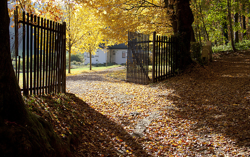 five tips for choosing perfect Five Tips For Choosing The Perfect Neighborhood For Your Family