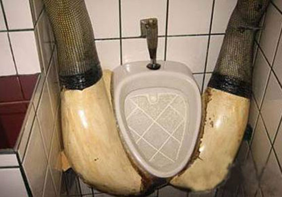toilets all around the world19 Toilets all around the world 