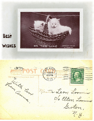 lolcat A Short History of the Lolcat