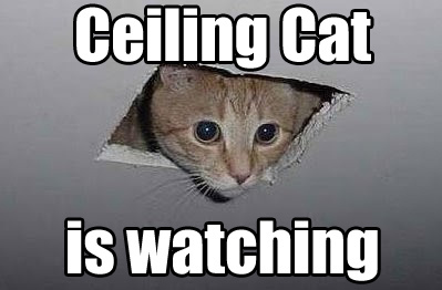 lolcat3 A Short History of the Lolcat