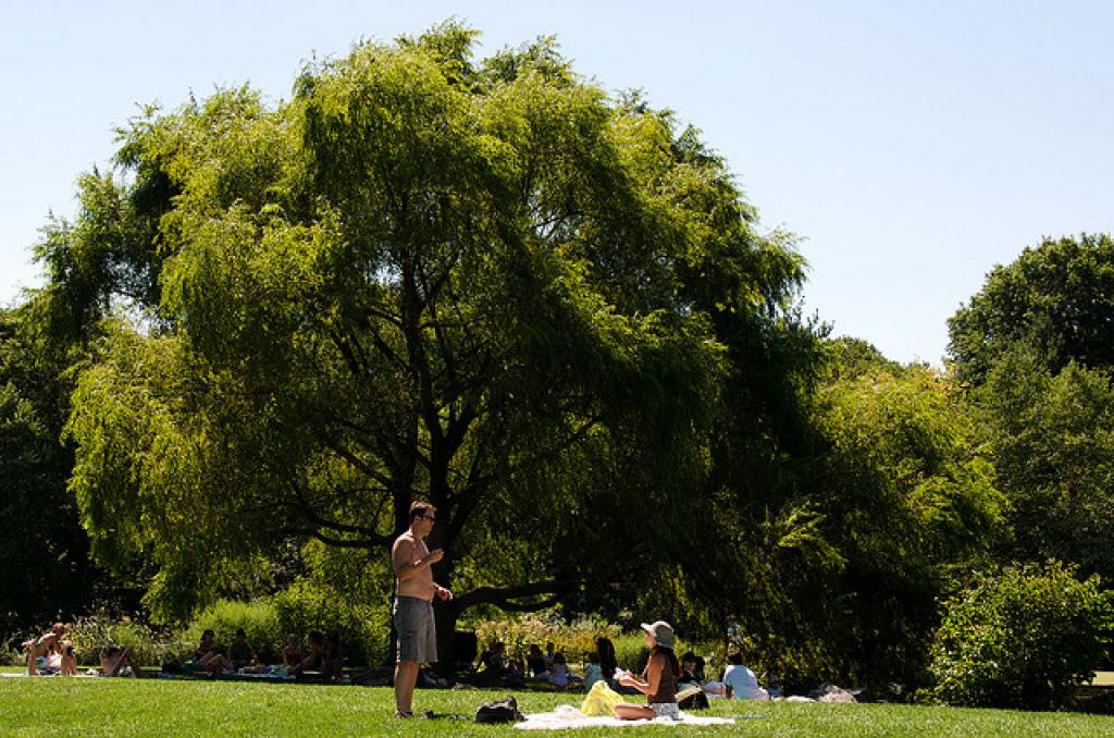 central park new york4 The Famous Central Park in New York City
