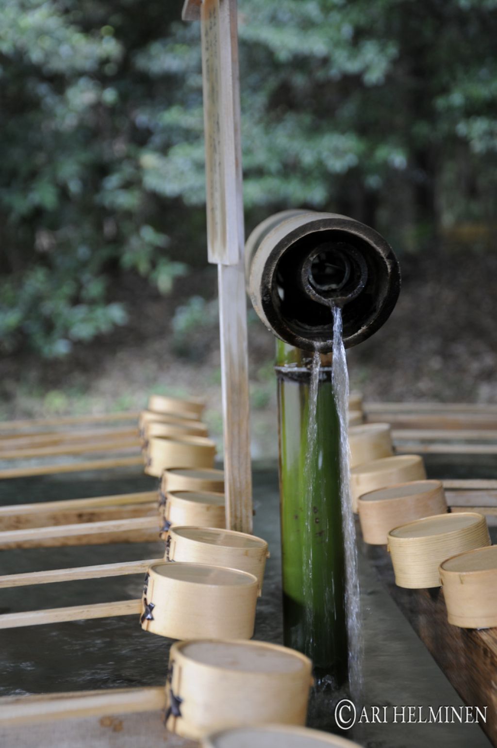 meiji shrine4 Meiji Shrine As a Peaceful and Spiritual Place in Japan