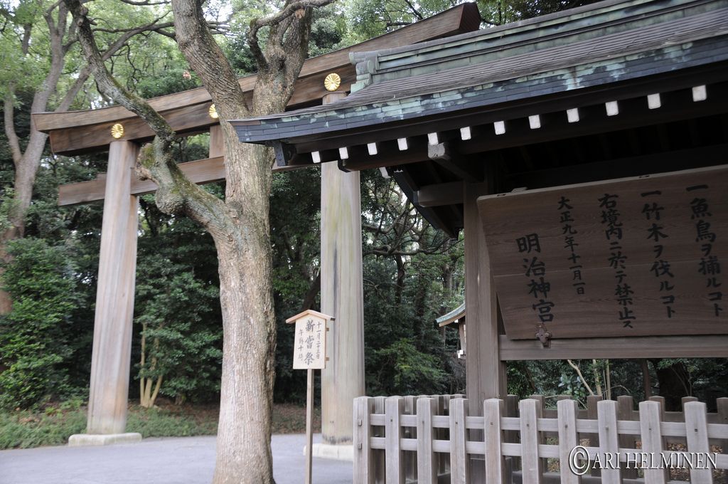 meiji shrine5 Meiji Shrine As a Peaceful and Spiritual Place in Japan