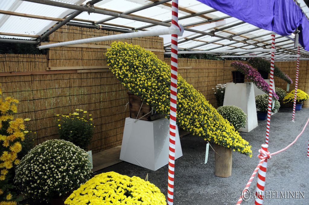 meiji shrine9 Meiji Shrine As a Peaceful and Spiritual Place in Japan