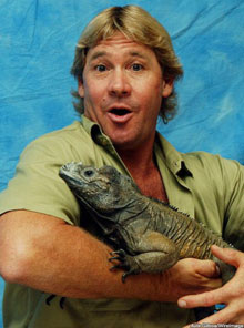 SteveIrwin Gilbo 529323 Max Bizarre Deaths in History
