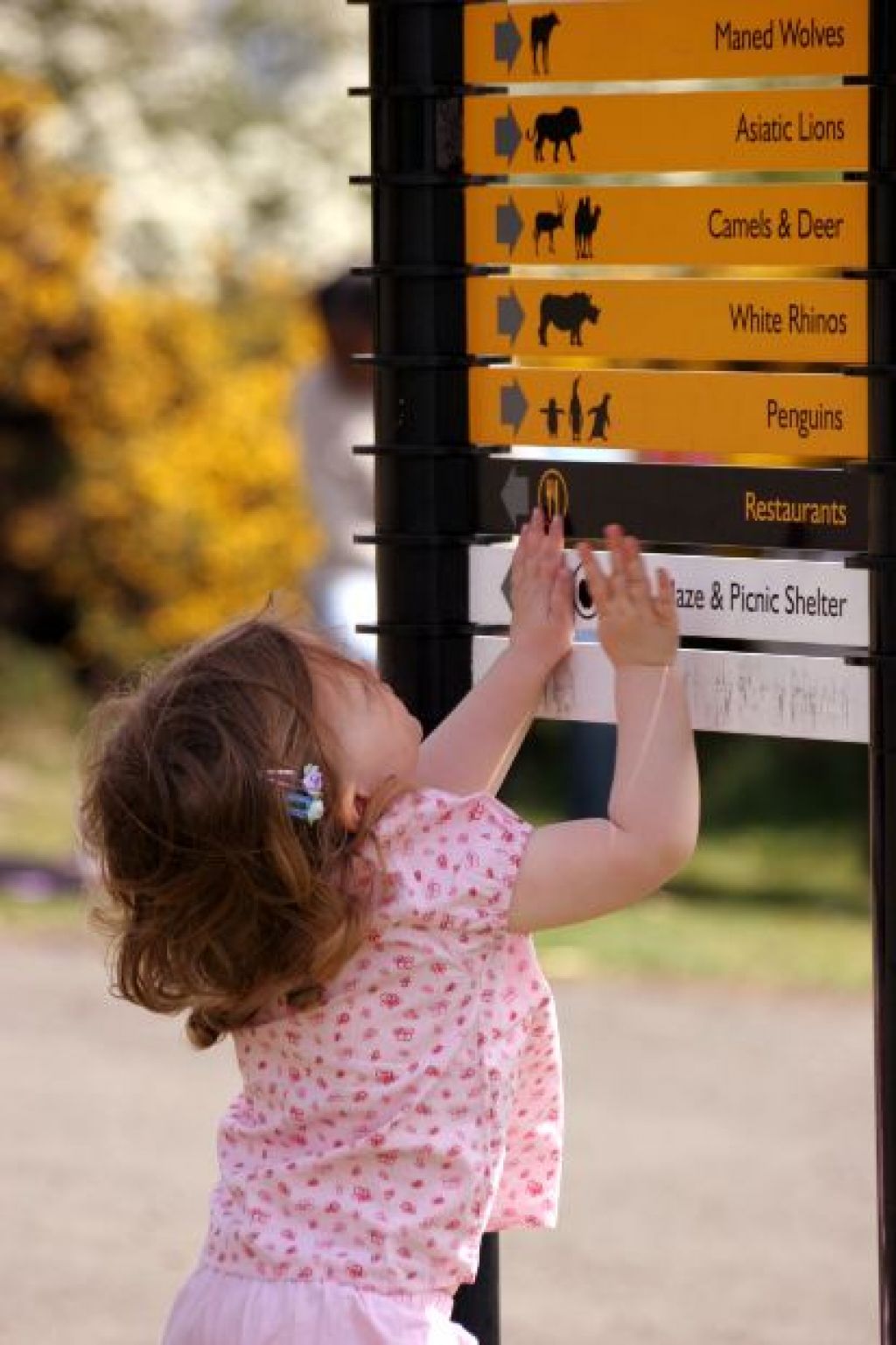 learning usenet3 5 Ways Usenet is Organized to be the Ideal Learning Resource