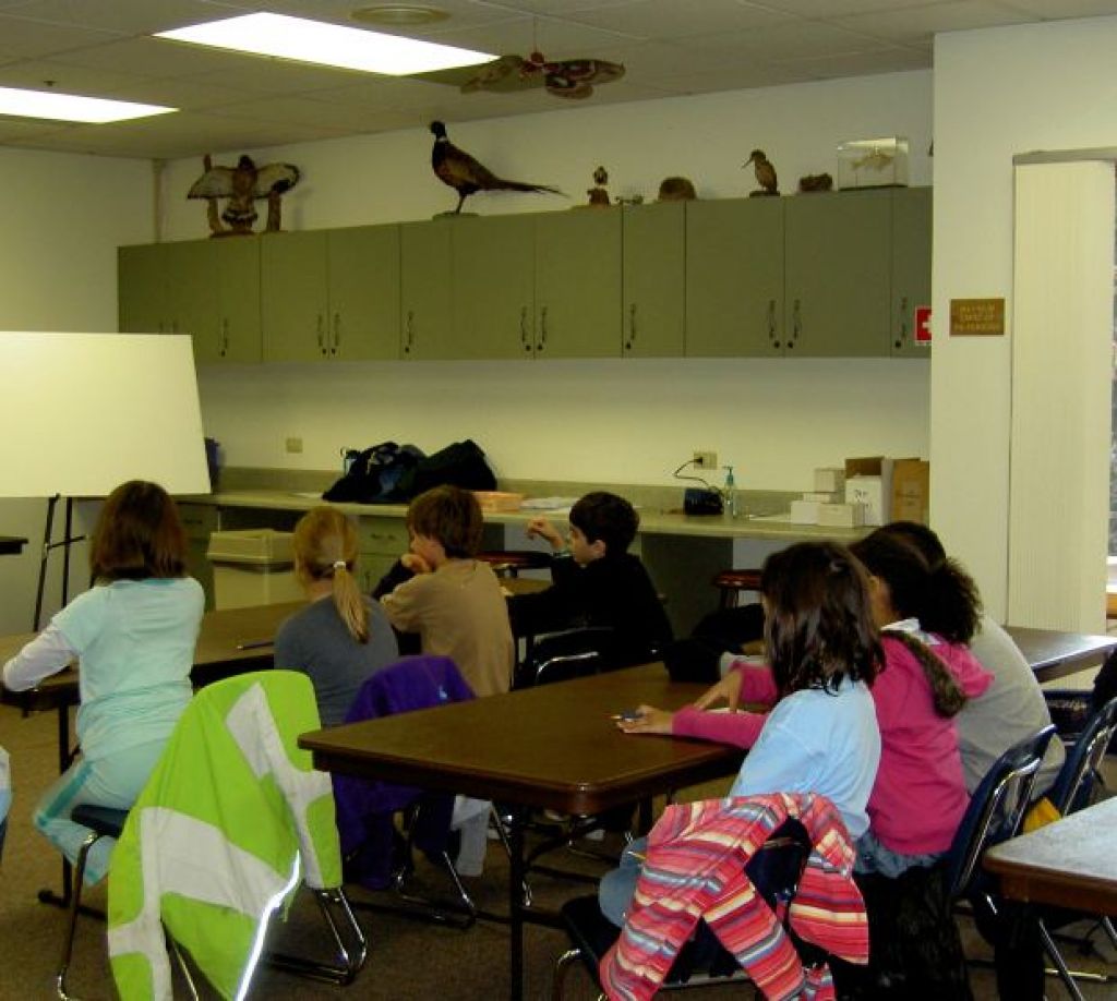 learning usenet4 5 Ways Usenet is Organized to be the Ideal Learning Resource