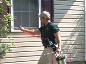 df 300x225 What Are The Types of Domestic Pest Control Methods?